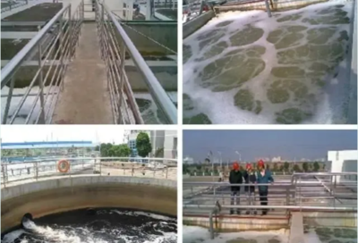 肖羽堂 以技術(shù)先鋒之姿，共繪企業(yè)環(huán)保監(jiān)測(cè)新藍(lán)圖